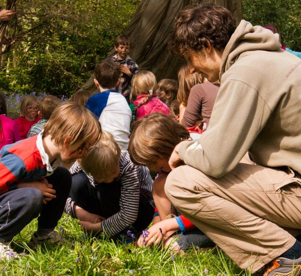 Teaching children in the outdoors