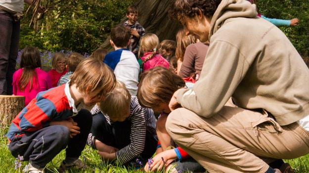 Children and leaders looking down in the grass