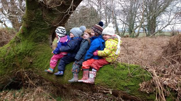 Children sat on a mossy log