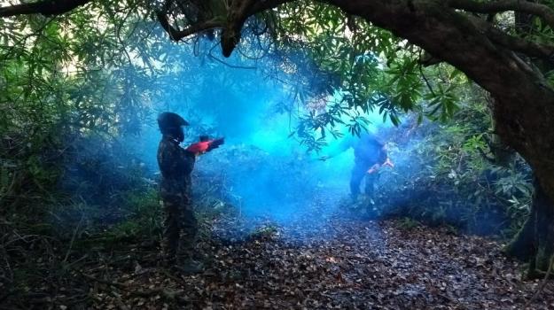 children paint splatballing each other in the woods