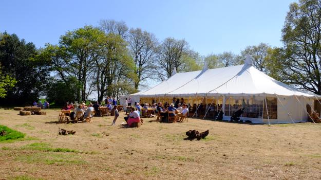 Marquee in the woods