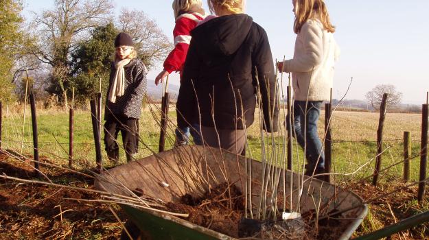 children tree planting