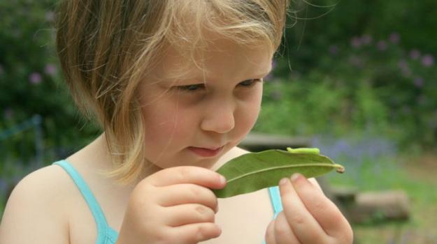 child and caterpillar