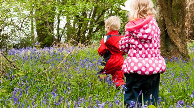 children running through the bluebells