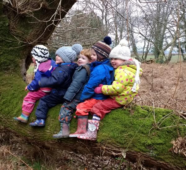 Children sat on tree