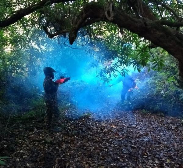 splat paint balling in the woods