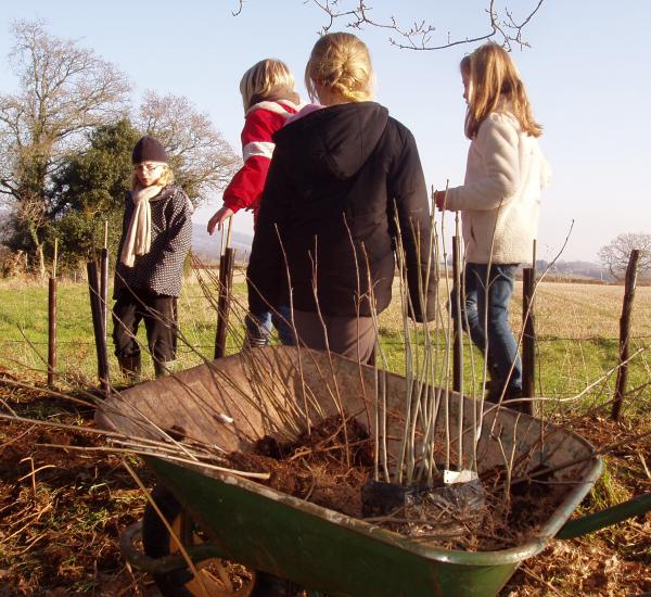 children tree planting
