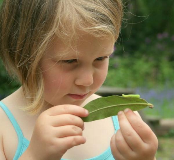 child and caterpillar