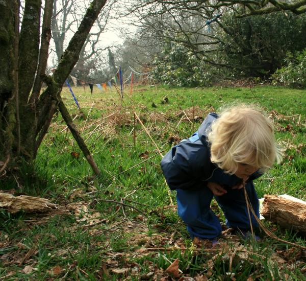 child looking at bugs