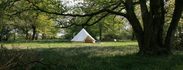 bell tent in the woods