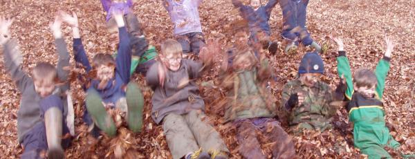 children playing in the leaves