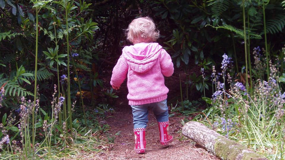 Child going for a walk in the woods