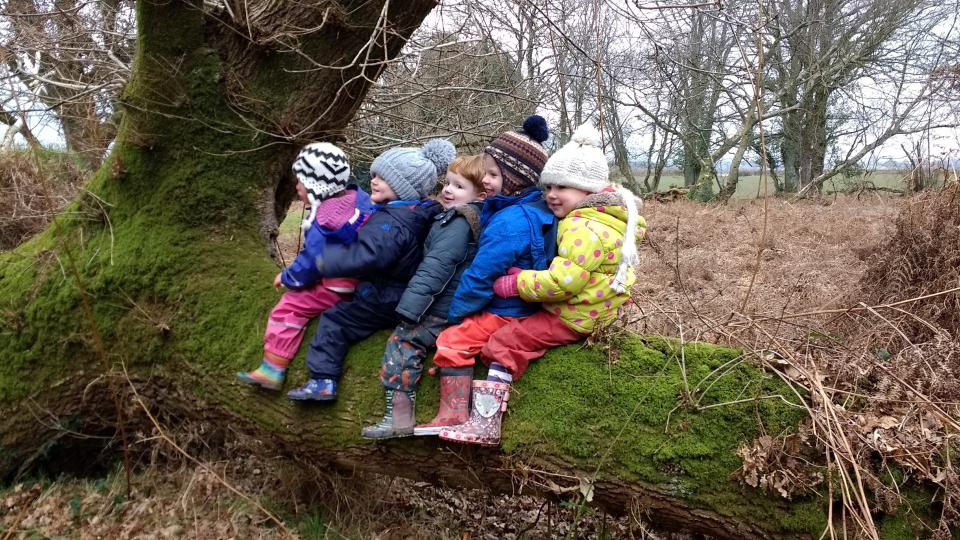 A group of children sitting on a tree stump 