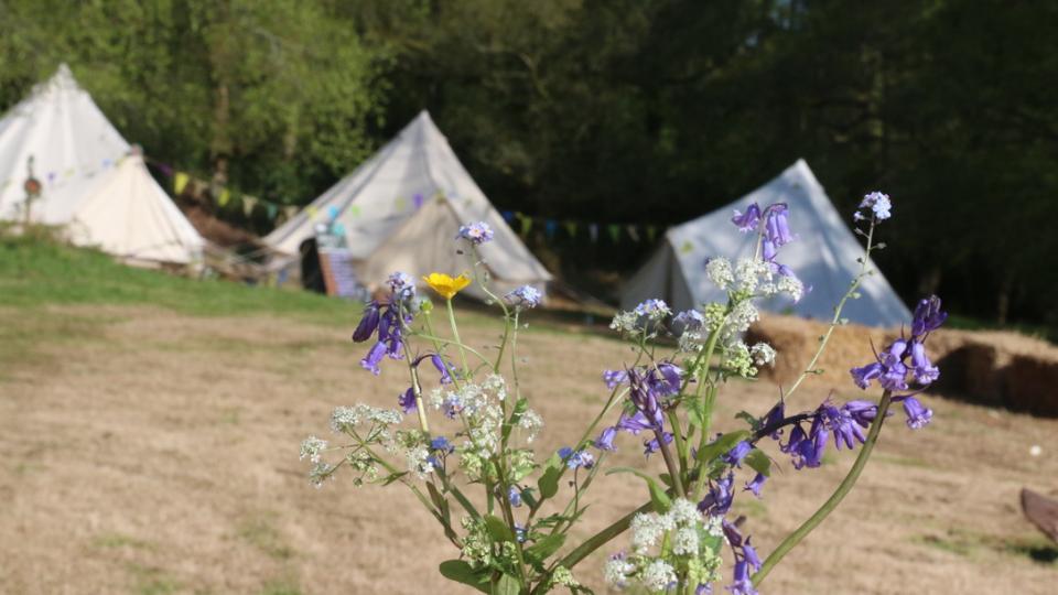 bell tent in the woods