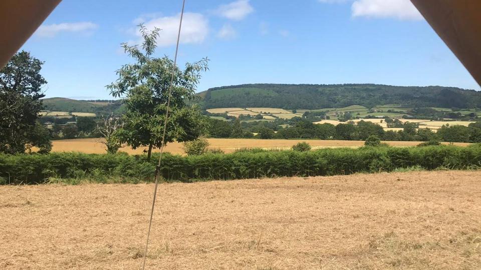 view from inside the bell tent