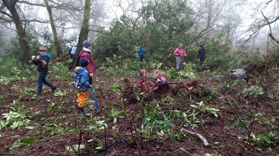 children clearing the rhodo