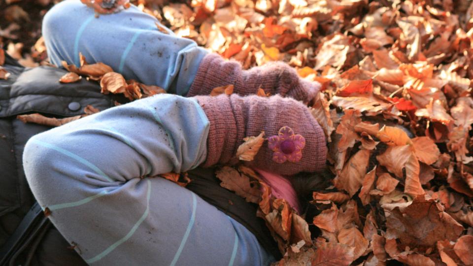 hiding under autumn leaves