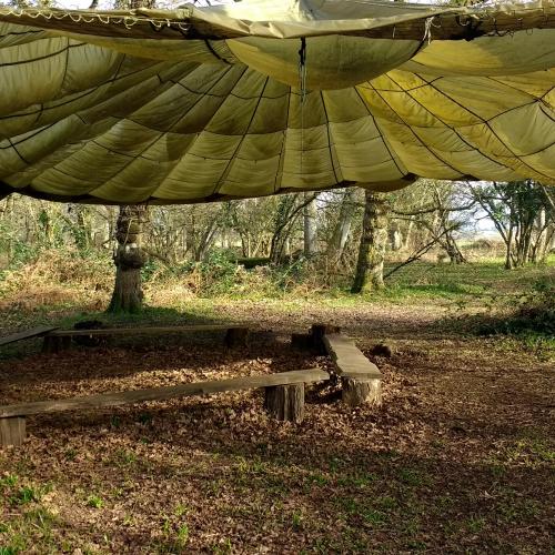 parachute in the woods